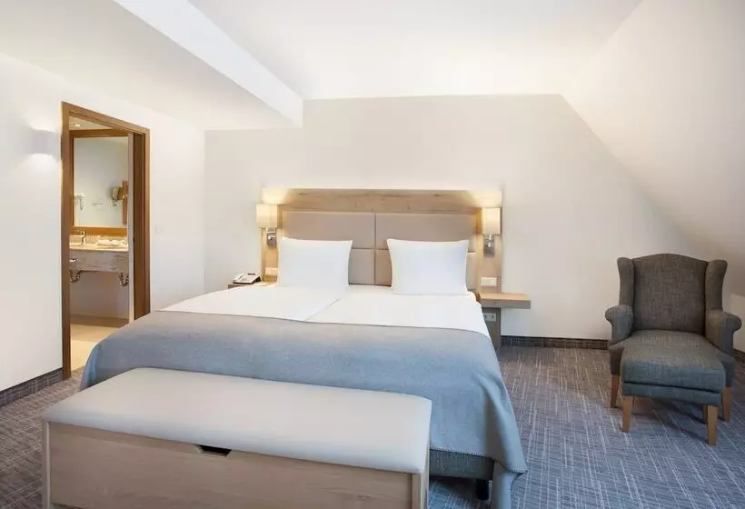 سوییت, Holiday Inn Nürnberg City Centre, An Ihg