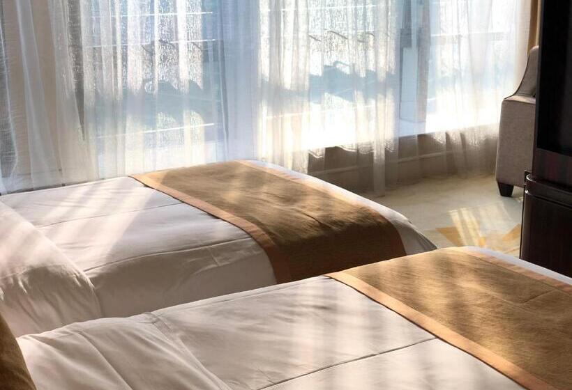 Delüks Oda, Paramount Gallery