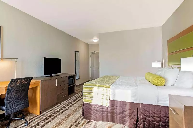 اتاق استاندارد, Best Western Plus Hotel Koeln City