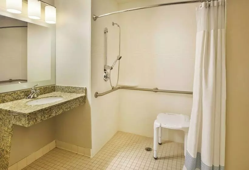２ベッドスイートルーム, Towneplace Suites By Marriott Detroit Livonia