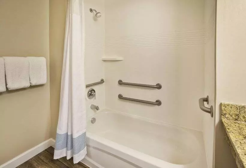 ２ベッドスイートルーム, Towneplace Suites By Marriott Detroit Livonia