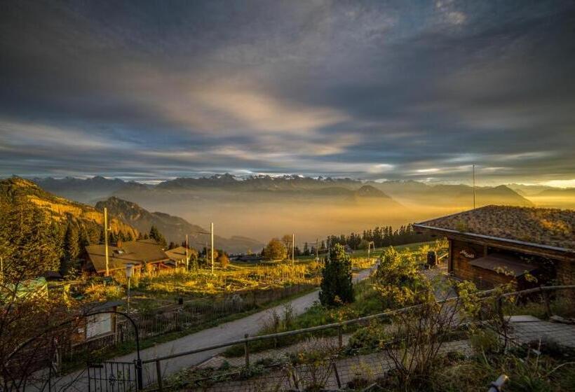 Номер Стандарт, Kräuterhotel Edelweiss