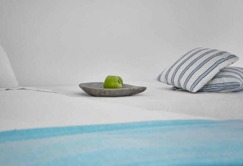 اتاق اکونومی, Finikia Memories