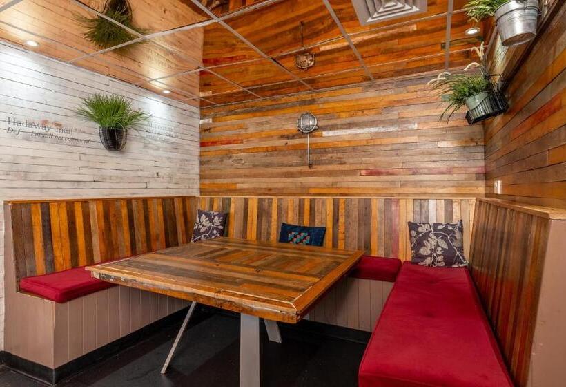 סוויטה, Kabannas Newcastle