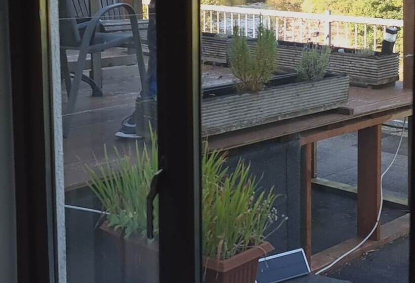 חדר סופריור לארבעה, The Meetings B&b