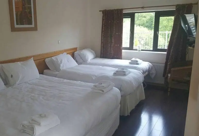 スーペリアの４人部屋, The Meetings B&b