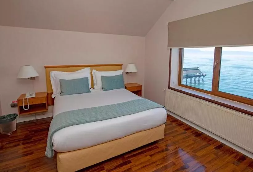 اتاق سوپریور یک تخته, Gran Hotel Vicente Costanera