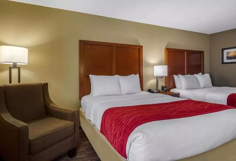 スタンダードルーム, Comfort Inn & Suites