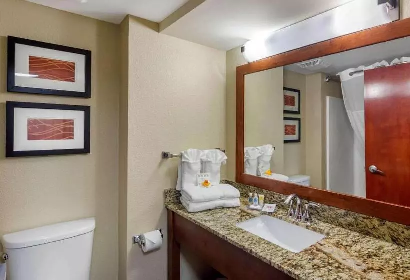 スタンダードルーム, Comfort Inn & Suites