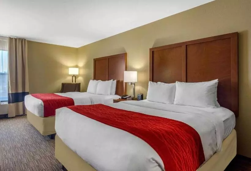 スタンダードルーム, Comfort Inn & Suites