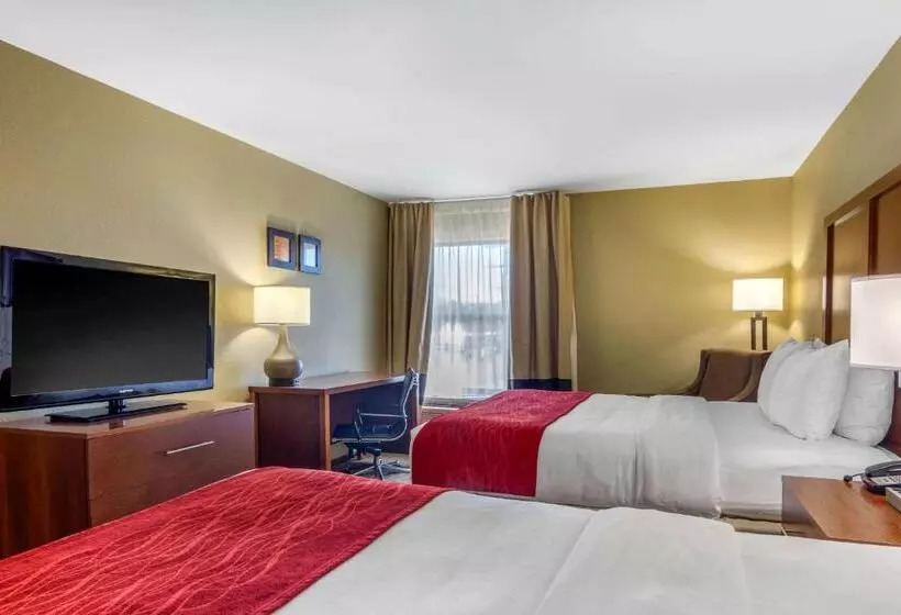スタンダードルーム, Comfort Inn & Suites