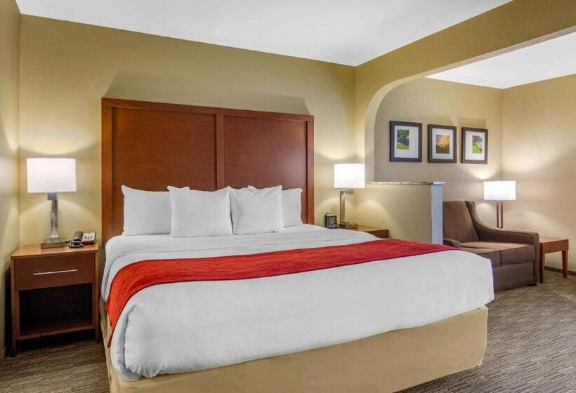Люкс Кровать Кинг, Comfort Inn & Suites