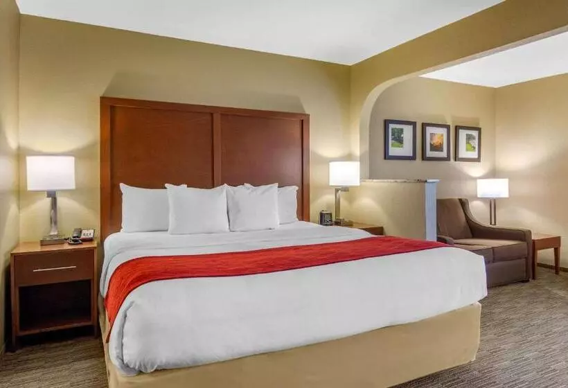 キングサイズベッドのスイートルーム, Comfort Inn & Suites