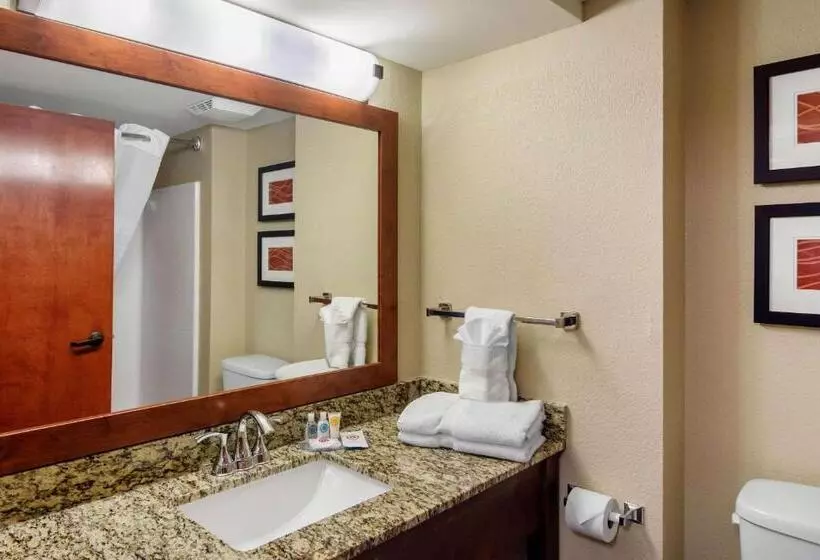キングサイズベッドのスイートルーム, Comfort Inn & Suites