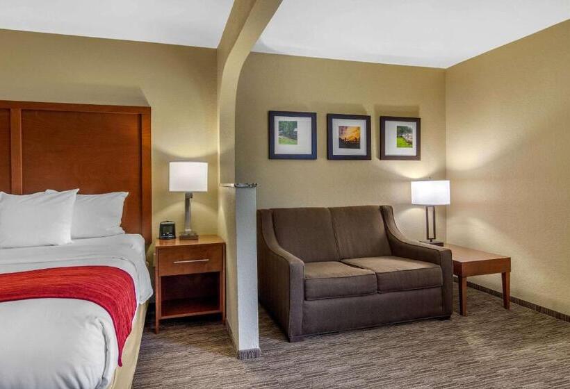 جناح سرير كينج, Comfort Inn & Suites