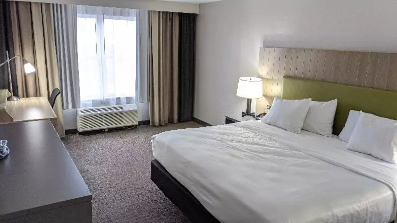 キングサイズベッドのスタンダードルーム, Country Inn & Suites By Radisson, Cincinnati Airport, Ky