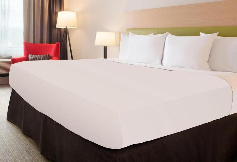 キングサイズベッドのスタンダードルーム, Country Inn & Suites By Radisson, Duluth North, Mn