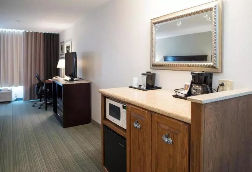 Sviitti King-vuode, Country Inn & Suites By Radisson, Effingham, Il