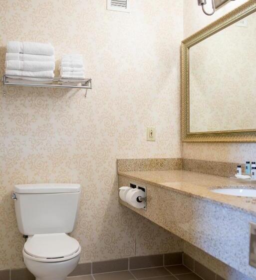 带大床的套房, Country Inn & Suites By Radisson, Effingham, Il