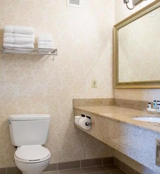 Sviitti King-vuode, Country Inn & Suites By Radisson, Effingham, Il