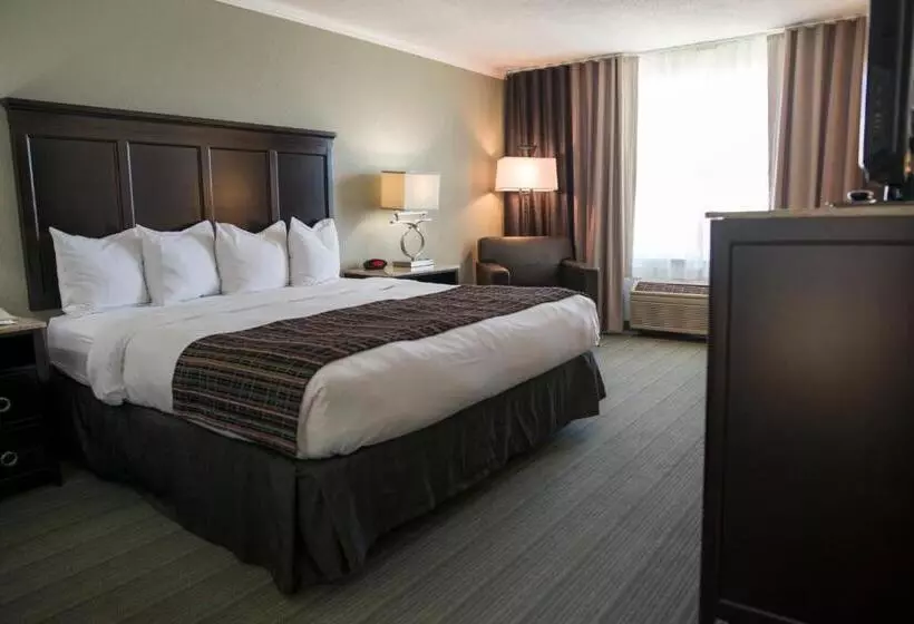 Standard-huone King-vuode, Country Inn & Suites By Radisson, Effingham, Il