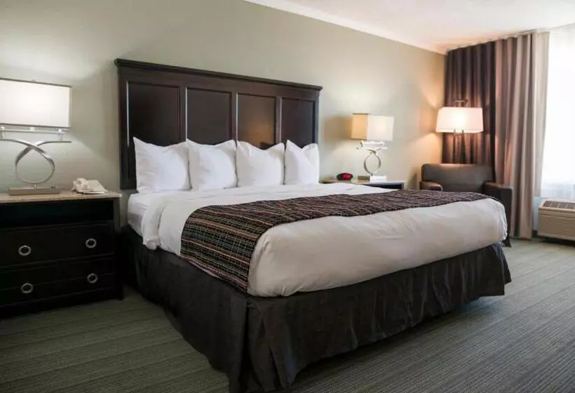 Standard-huone King-vuode, Country Inn & Suites By Radisson, Effingham, Il