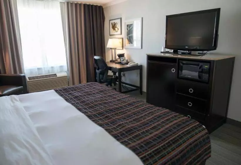 Standard-huone King-vuode, Country Inn & Suites By Radisson, Effingham, Il