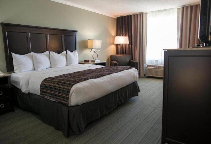 غرفة قياسية سرير كينج لذوى الإحتياجات الخاصة, Country Inn & Suites By Radisson, Effingham, Il