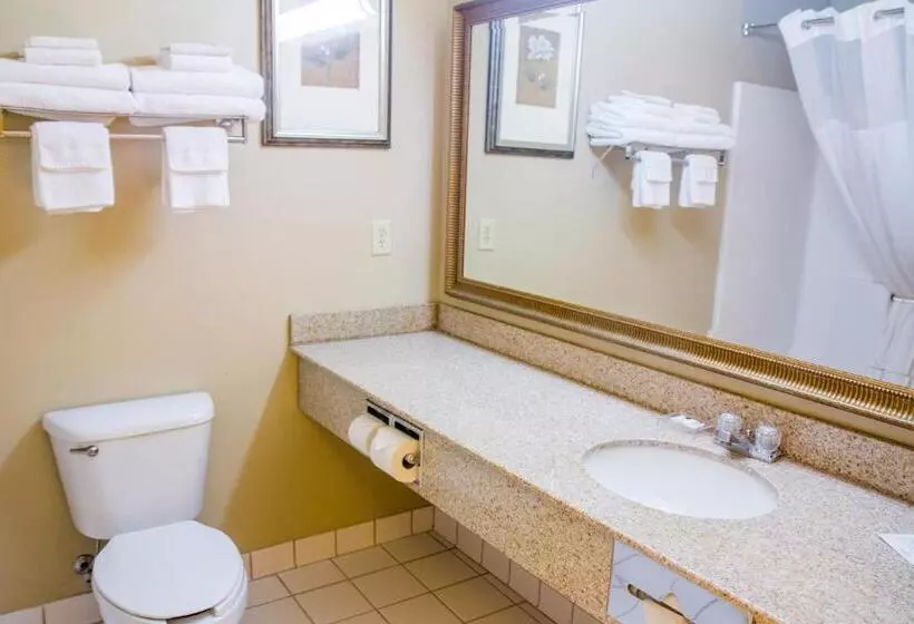 キングサイズベッドのスタンダードルーム, Country Inn & Suites By Radisson, Marion, Oh