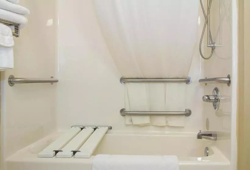 身障者適用キングサイズベッドルーム, Country Inn & Suites By Radisson, Marion, Oh