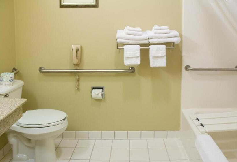 غرفة قياسية سرير ملكى لذوى الإحتياجات الخاصة, Country Inn & Suites By Radisson, Marion, Oh