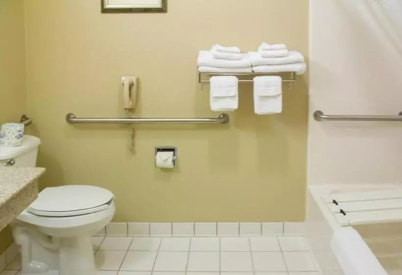 身障者適用クイーンサイズベッドルーム, Country Inn & Suites By Radisson, Marion, Oh