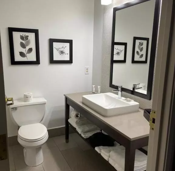 スタンダードルーム, Country Inn & Suites By Radisson, Prairie Du Chien, Wi