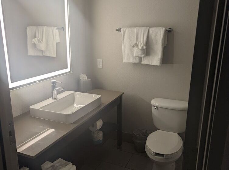 Номер Стандарт, Holiday Inn Express & Suites Salt Lake City N  Bountiful