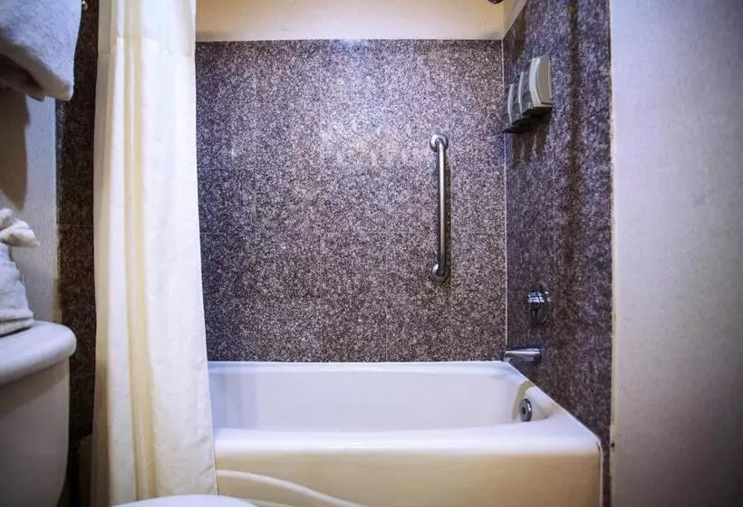 اتاق استاندارد با تخت بزرگ, O Brien Riverwalk Boutique