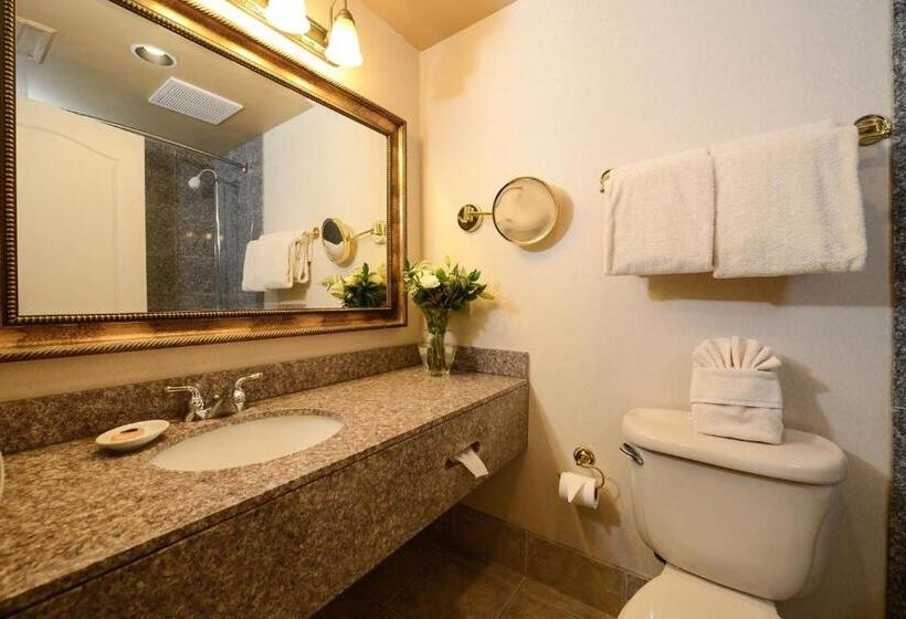 キングサイズベッドのスタンダードルーム, O Brien Riverwalk Boutique