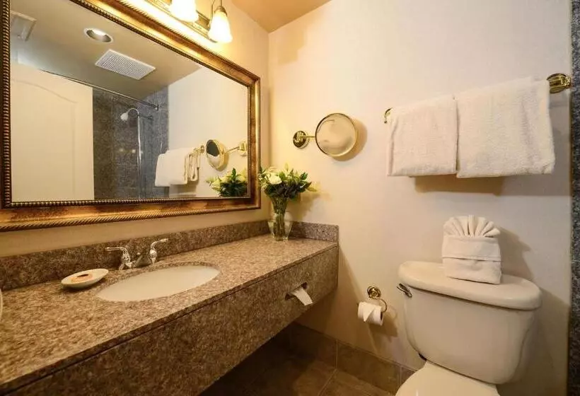اتاق استاندارد با تخت بزرگ, O Brien Riverwalk Boutique