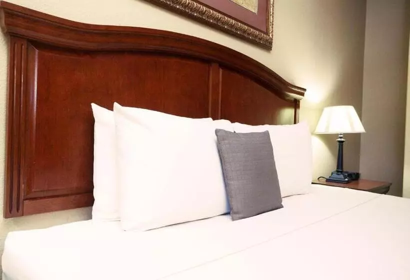 اتاق استاندارد با تخت بزرگ, O Brien Riverwalk Boutique