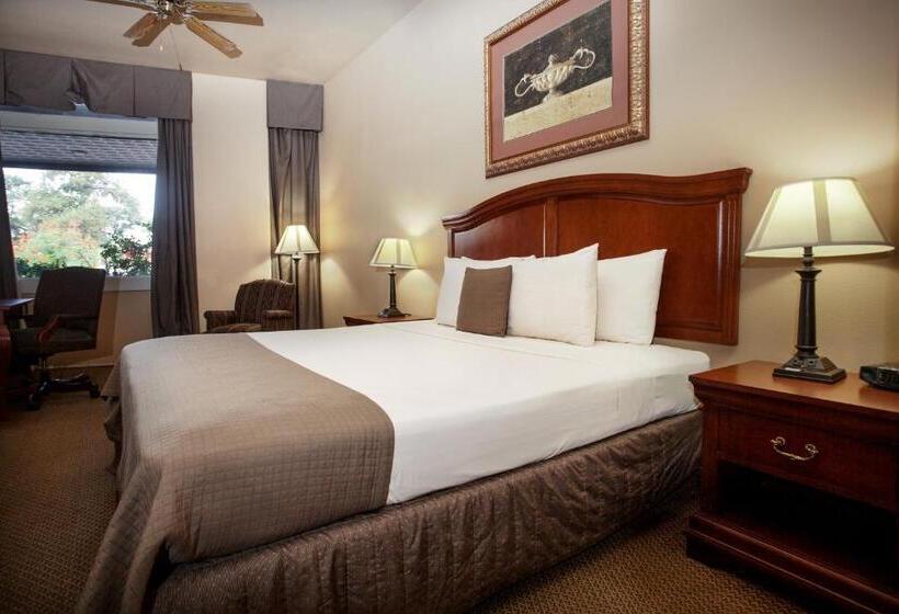 キングサイズベッドのスタンダードルーム, O Brien Riverwalk Boutique