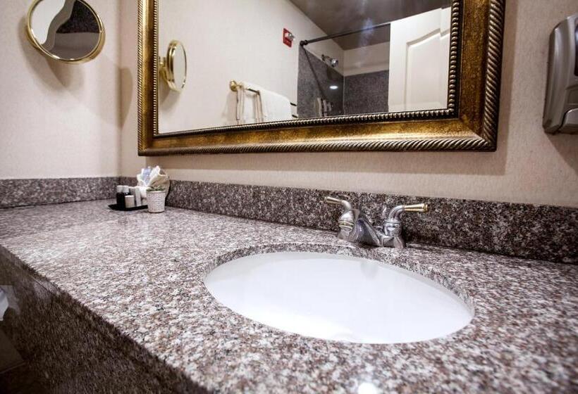 キングサイズベッドのスタンダードルーム, O Brien Riverwalk Boutique