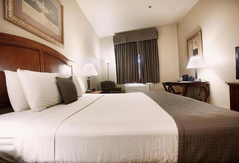 キングサイズベッドのスタンダードルーム, O Brien Riverwalk Boutique