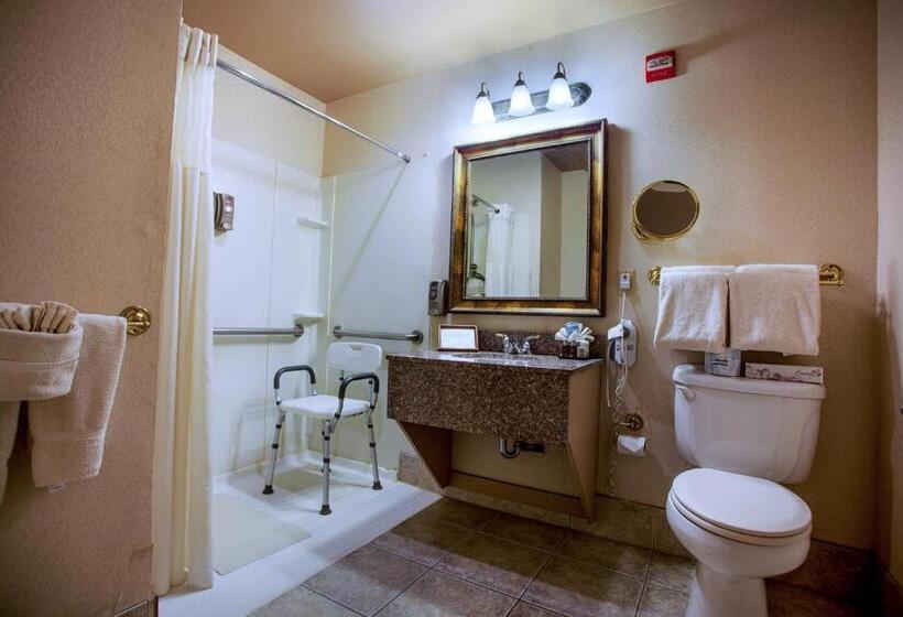 身障者適用スタンダードルーム, O Brien Riverwalk Boutique