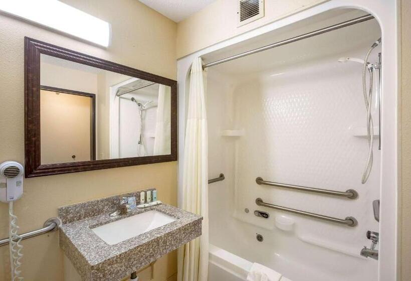 غرفة قياسية لذوى الاحتياجات الخاصة, Quality Inn Storm Lake