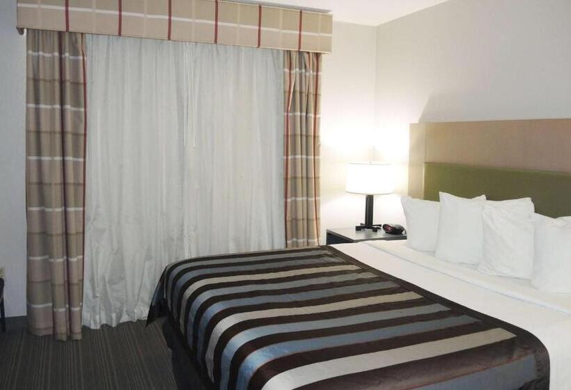 جناح سرير كينج, Wingate By Wyndham Matthews, Nc