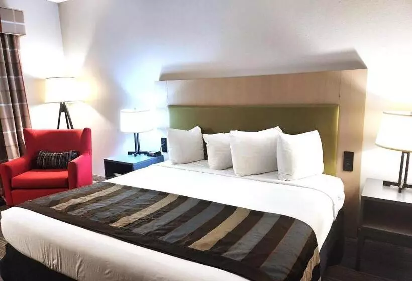 身障者適用キングサイズベッドルーム, Wingate By Wyndham Matthews, Nc