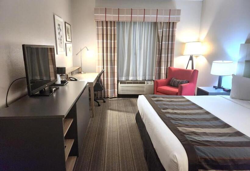 غرفة قياسية سرير كينج لذوى الإحتياجات الخاصة, Wingate By Wyndham Matthews, Nc