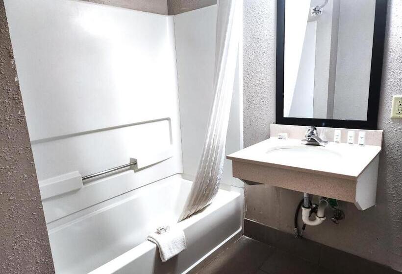 غرفة قياسية لذوى الاحتياجات الخاصة, Wingate By Wyndham Matthews, Nc