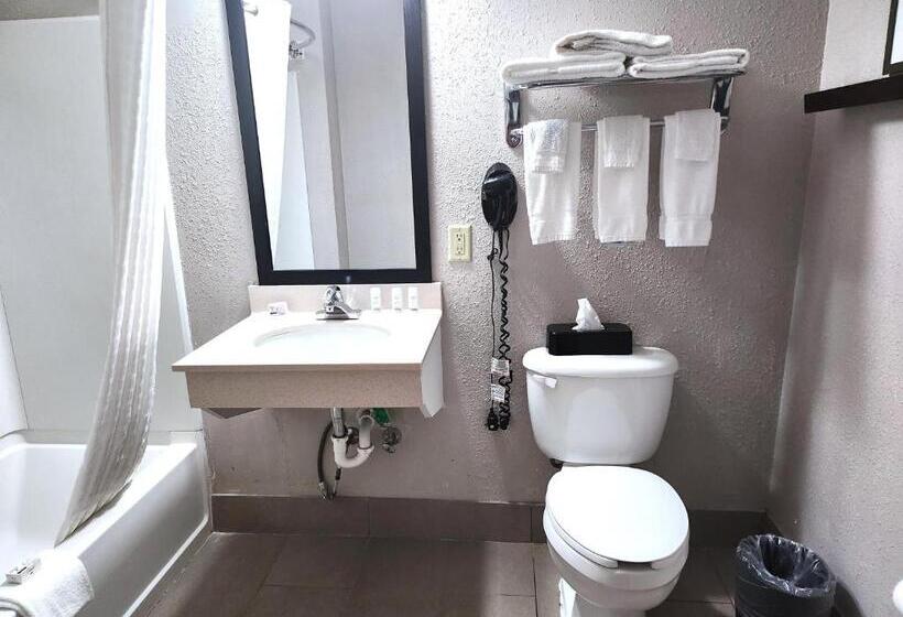 غرفة قياسية لذوى الاحتياجات الخاصة, Wingate By Wyndham Matthews, Nc