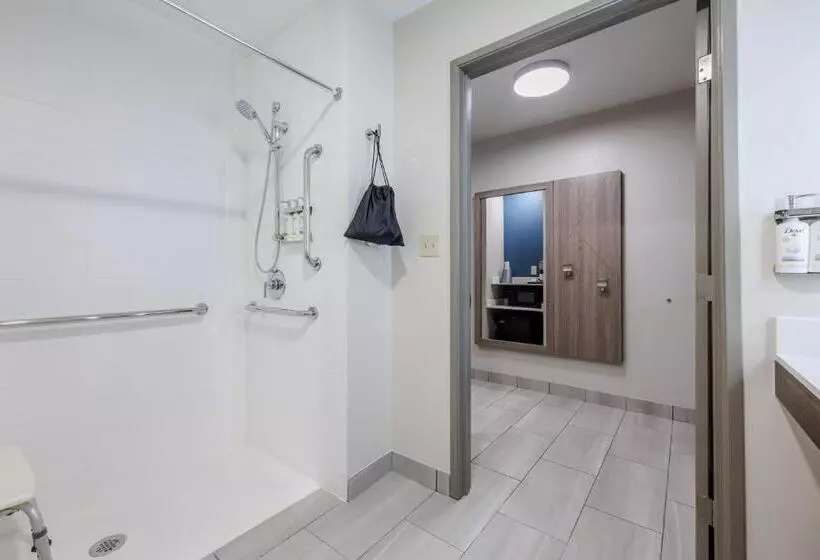Standard-invahuone King-vuode, Holiday Inn Express & Suites Zion By Ihg