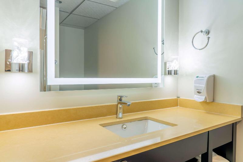 스탠다드 룸 킹사이즈 침대, Quality Inn Sunshine Suites